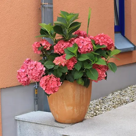 Hotel Ambassador Grasbrunn